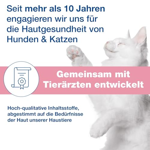 DOUXO S3 Calm Mousse | für Hunde & Katzen | Schaum Pflege für juckende, gereizte & empfindliche Haut | Hautberuhigend & Feuchtigkeitsspendend | ideal für Allergiker & allergische Tiere | 150 ml