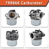 labwork 799868 Carburetor Replacement for Briggs Stratton 498170 497586 498254 497314 497347 497410 799872 790821 498255 498966 698444 Carb Replacement for Briggs Stratton 14111