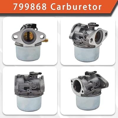 labwork 799868 Carburetor Replacement for Briggs Stratton 498170 497586 498254 497314 497347 497410 799872 790821 498255 498966 698444 Carb Replacement for Briggs Stratton 14111