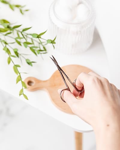 Image of Amazon Basics Beauty Scissors, Stainless Steel, Curved Precision Cutting, Multipurpose Grooming Tool, Easy to Use, Silver