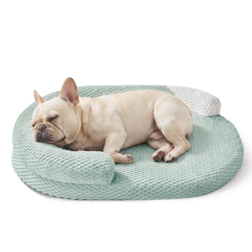 JOEJOY Orthopedic Dog Bed Medium Size Dogs, Waterproof Washable Oval Dog Beds with Removable Cover, Egg-Crate Memory Foam Pet Bed with Bolster Sides & Non-Skid Bottom, Green, 28''x20''