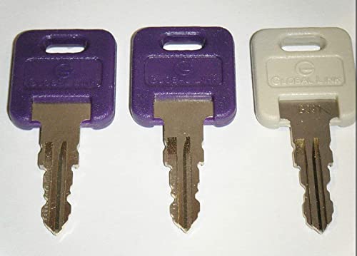 Global Link G388 Keys with G391 Storage Compartment Key RV's Motorhome Trailer Key Cut to Key & Lock G388 Purple RV Keys 1 Gray G391 Replacement Keys (G388)