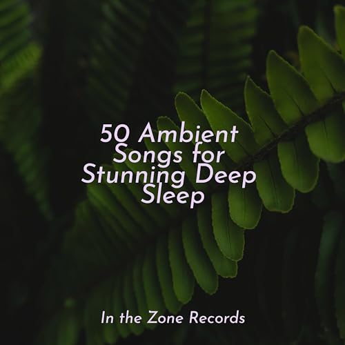 50 Ambient Songs for Stunning Deep Sleep by Meditación, Easy Sleep