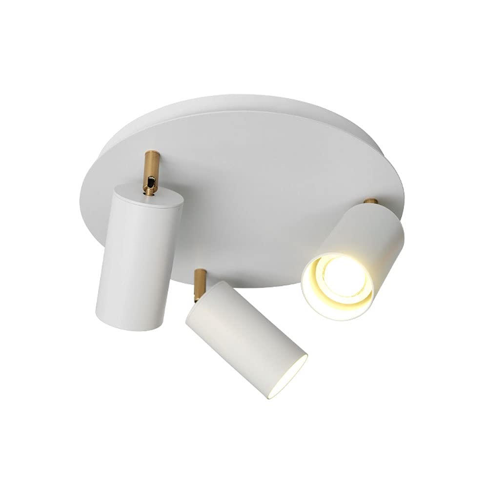 Spot de plafond blanc moderne réglable pour illuminer les tableaux d'une galerie