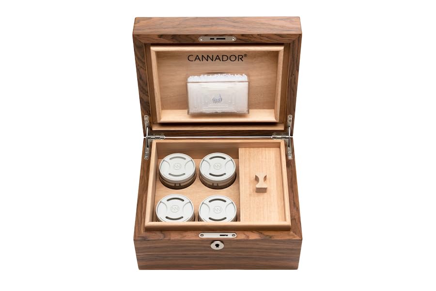 Amazon.com: Cannador 4-Strain (with nook) Walnut Humidor : Health