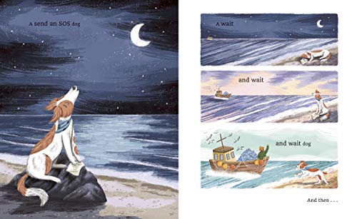 Fidget the Wonder Dog