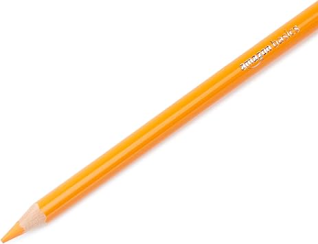 Amazon Basics Coloured Pencils in Tin Box, Pack of 24 - Assorted Colours