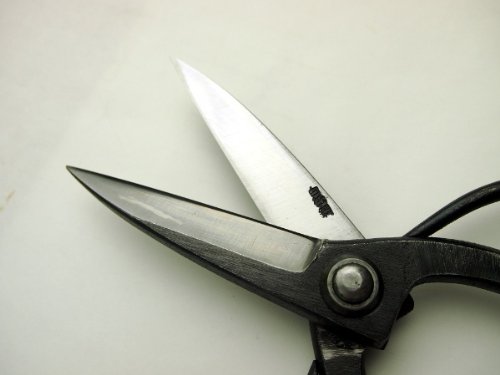 Amazon | 植木鋏 はさみ ハサミ 「佐保」 白紙鋼 植木鋏3寸5分刃