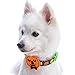 Blueberry Pet 3 Patterns Halloween Harvest Pumpkin Classic Designer Dog Collar with Decoration, Small, Neck 12"-16", Adjustable Collars for Dogs
