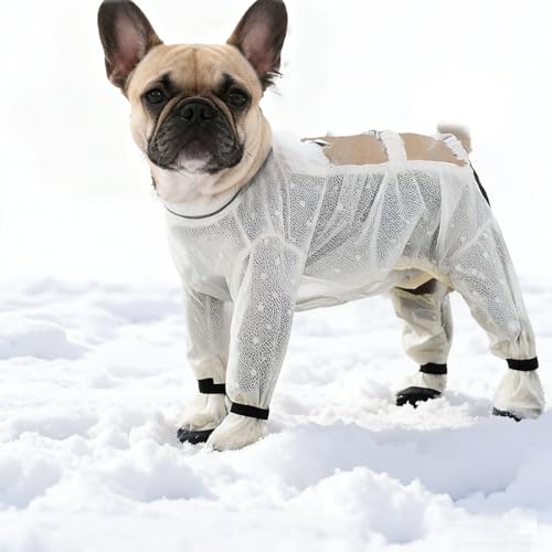 Anti Dust Pants with Shoes for Dogs Outdoor Anti Dirt