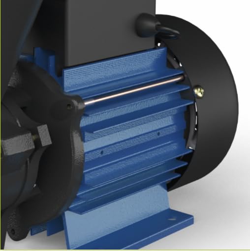 Image of Annika II | 0.5 hp Self Priming Water Pump | High Suction Lift | Pure Copper Winding| Cathodic Electro Deposition (CED) Coating | Shielded Ball Bearing| 12 Months Manufacturer's Warranty