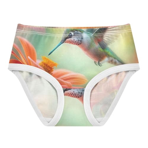 Hummingbird Vibrant Orange Flower Little Girl Panties Girls Underwear Toddlers Cotton Stylish Briefs Undies Kids 2t