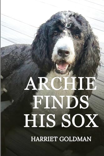 Archie Finds His Sox