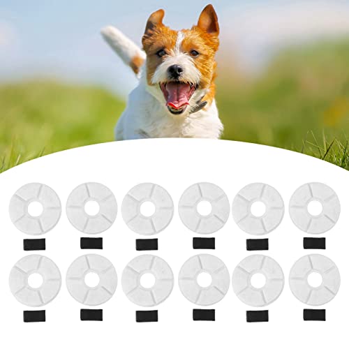 Filtro de carbón activado para fuente de agua para gatos miniatura 7