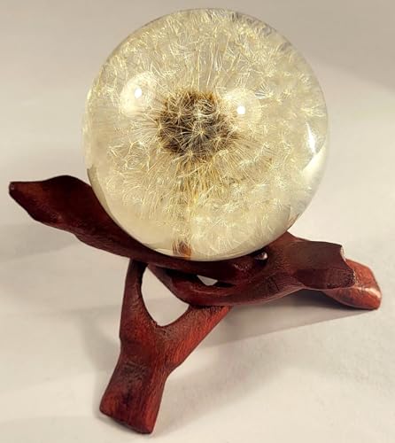 Image of 60mm Real Dandelion inchSnowflake Flower inch in Crystal Clear Lucite Resin Sphere Specimen Paperweight Botanist Herb Herbarium Collection for Botany Science Education Desk Ornament Display Christmas Gift