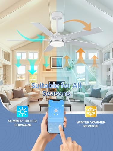 Image of LANMEL Ceiling Fan with Light, Modern Flush Mount Low Profile with Remote Control, Reversible, 3CCT Dimmable, Quiet,LED for Bedroom, Living Room, Indoor /Outdoor Patio Use 52 Inch Silver & White