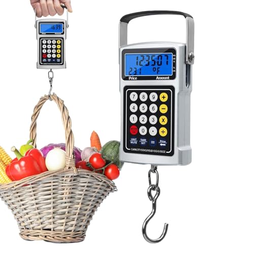 Balance à bagages numérique portable de voyage pour pêche et colis