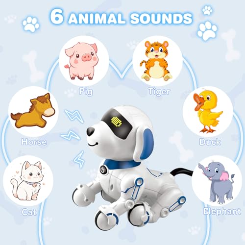 Robot Dog, Blue