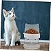 LIOOBO Cat Bowl Feeder Raised Design Elevated Cat Food Bowl Pet Feeding Holder for Puppy Dog Sturdy Easy to Clean