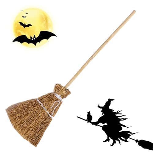 ̂قAȂق | h[nEX̉Ƌ̑ NtgfR[V Ƒ̏W܂ Xe[WV[ p[eB[ zf[VA^[ ptH[}X ʕp