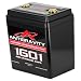 Antigravity Batteries AG-1601 Lithium Motorcycle Battery 480 CCA 16-Cell 12V