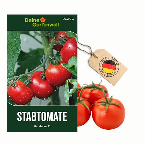 Stabtomaten Harzfeuer F1 Samen - Solanum lycopersicum - Tomatensamen - Gemüsesamen - Saatgut für 15 Pflanzen