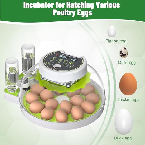 MYMULIKE 18 incubadoras de ovos para incubação, incubadora de ovos com giro automático de ovos e con