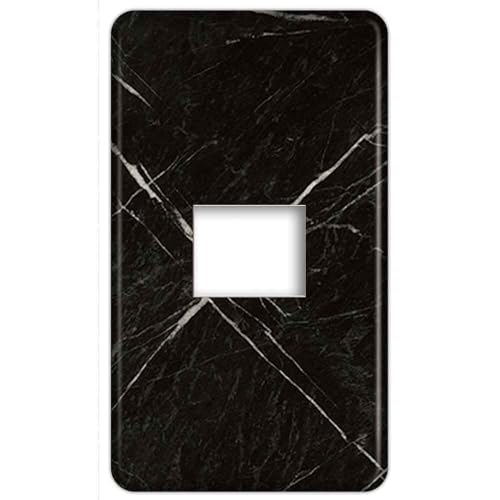 CASEMAKER �R���Z���g/�X�C�b�`�v���[�g���ʃ^�C�v �y�t���J���[(���_��)�v���[�g�݊��i�z�y1�A1�R�p �^��WN6001�z �Ζڒ�(�嗝�Ε�) 40�� �p�i�\�j�b�N�݊��i