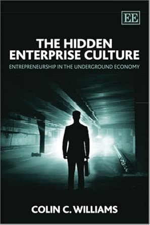 The Hidden Enterprise Culture: Entrepreneurship in the Underground Economy book cover