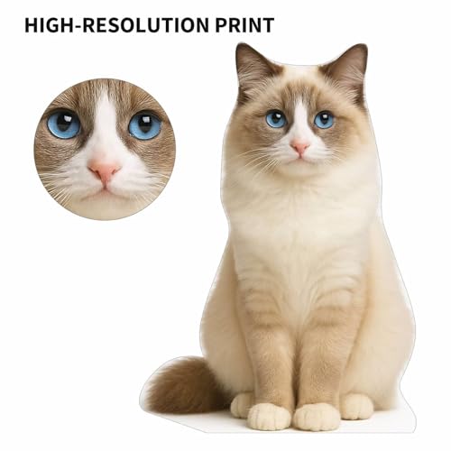 Image of Cat 3FT Life Size Cardboard Cutout - A Fun Animal Standup for Photo Booths, Birthday Parties, and Events