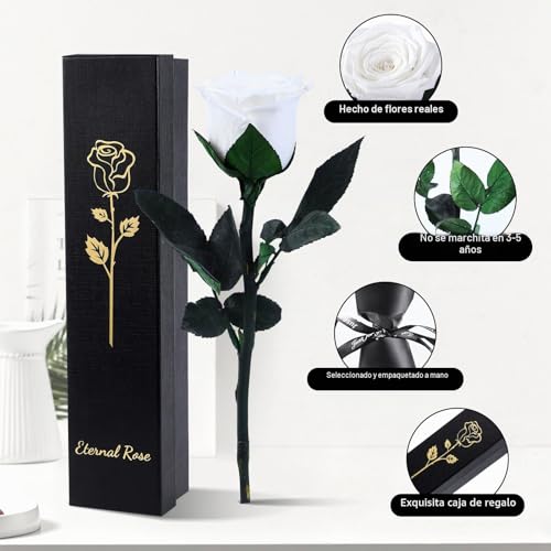 Miniatura 6 de Frfg Rosa Eterna, Rosa Natural Preservada Con Tallo Regalos Para Mujer, Regalo De Cumpleaños De Aniversario Dia De La Madre Dia De San Valentín Para Mamá Novia Mujeres Beige