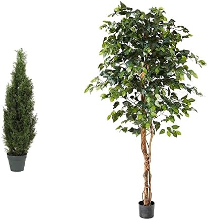 Nearly Natural 5172 4ft. Cedar Tree Silk Tree (Indoor/Outdoor),Green,49.5" x 9" x 9" & Natural 6ft. Ficus Artificial Trees, 72in, Green