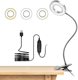 USB Reading Light, Clip-on LED Reading Light with 10 Dimmable Brightness & 3 Light Modes, Eye Protection Adjustable Desk Lamp/Bedside Light for Reading/Work/Tattoo/Piano (Sliver) [Energy Class A++]