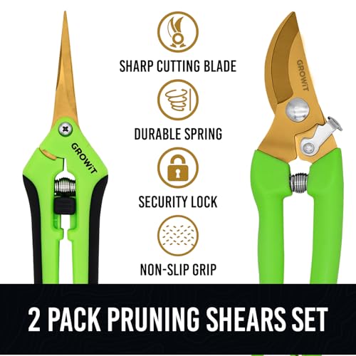 2-Pack Stainless Steel Gardening Scissors, Pruning Shears and Clippers for Gardening - Image 3