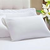 TRAVESSEIRO PLUMAS DE GANSO FIRM 50x70 glide