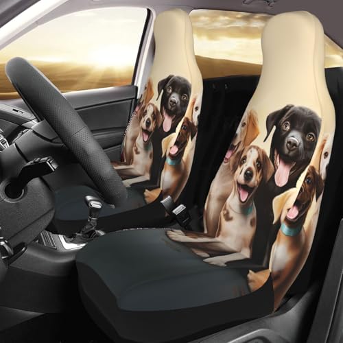 Housses de siège de voiture pour chiens : finis les poils et la saleté en camion ou SUV