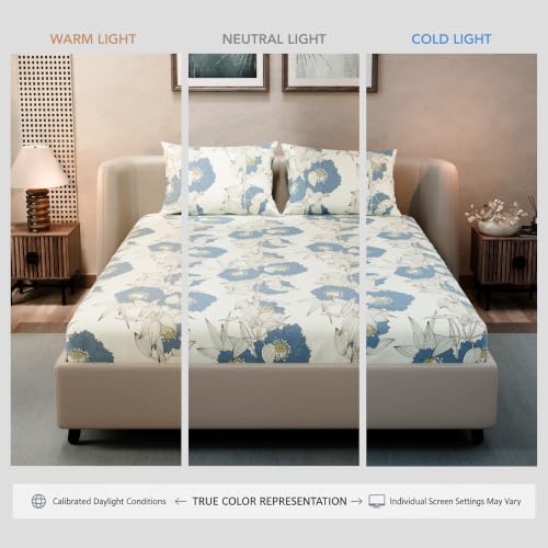 Image of BLISSHOME SoftTouch 140TC Cotton King Size Fitted Bedsheet with 2 Pillow Covers, Silky Smooth Bedding Set, Breathable, Easy Maintain, Floral Print - Ivory, Blue (182cm x 198cm x 25cm Drop)