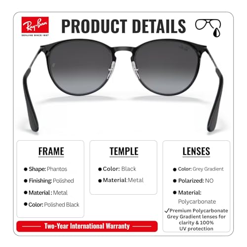 Image of Ray-Ban RB3539 ERIKA METAL Phantos Shaped Sunglasses for Women with Official RAYBAN Eyewear Kit