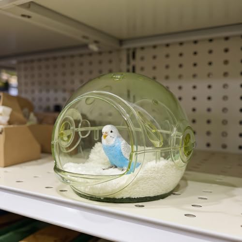 Nid pour oiseaux transparent cabane d'élevage en plastique pour perruche et canari