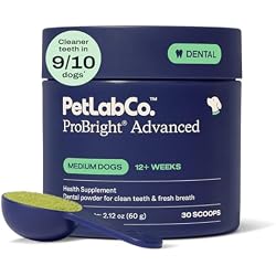 PetLab Co. ProBright Advanced Dental Powder - Dog Breath Freshener - Teeth Cleaning Made Easy – Targets Tartar & Bad Breath - Packaging May Vary - Formulated for Medium Size Dogs
