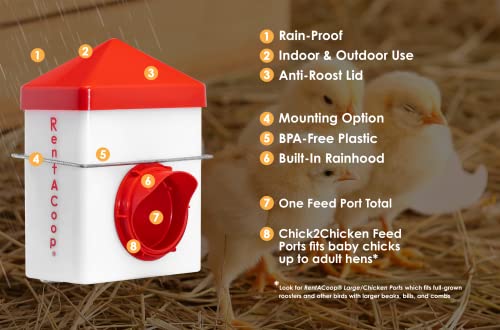 Rentacoop Chick2Chicken 2.5Lb Single-Port Feeder #TOP3