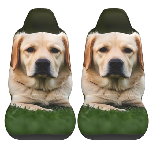 Housse de siège de voiture imperméable pour sorties outdoor et chiens