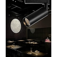 Gpaillumic Flush Mount LED Ceiling Spotlight, 7W Zoomable