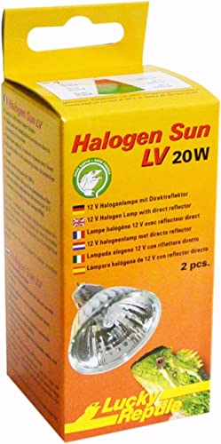 Lucky Reptile Halogen Sun LV Wärmestrahler - 20W sol-ljus-lampa för G5.3-sockel - speciell reflektorform - lampa med bra ljus- & värmeutbyte i ljusfokus - belysning för reptiler