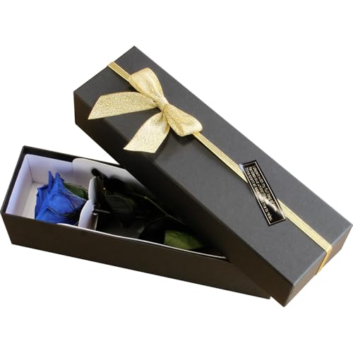 vU[uht[ vU[ht[ ւKN u[v[g j LO a AW t[Mtg t[AWg ͂Ȃo   ̓