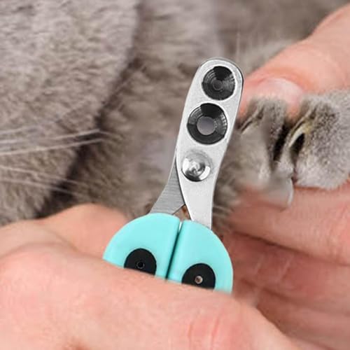 itrimaka Cortaúñas para Cachorros, cortaúñas para Gatos - Recortadora de Garras para Cachorros y Gatitos - Suministros para Mascotas, cortauñas para Cachorros, Herramienta Profesional para el Cuidado - imagen 3