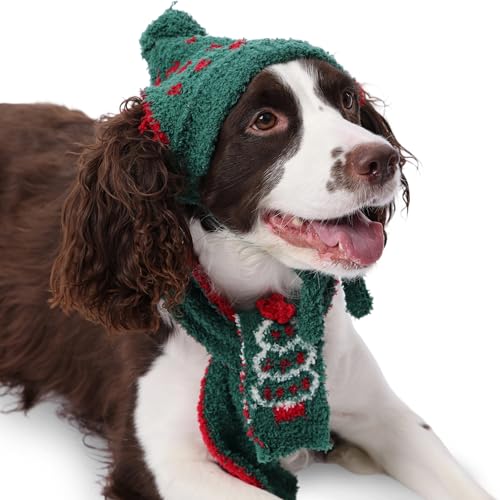 PUMYPOREITY pNX}XnbgƃXJ[tA2_ ̃NX}XRX`[AgXJ[tƖXqAVNp[eB[fR[VpA~lbNC[EH[}[A^^^pAO[AL