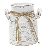 Toddmomy Retro Eisen Blumentopf mit Griff Kompakter Vintage Pflanzkübel für Kleine Pflanzen...