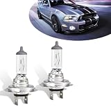 Flygun 2 PCS Car H7-55W Halogen Bulb, 12V Super Penetrating Quartz Lamp Low Beam High Beam Light, Easy to Plug...