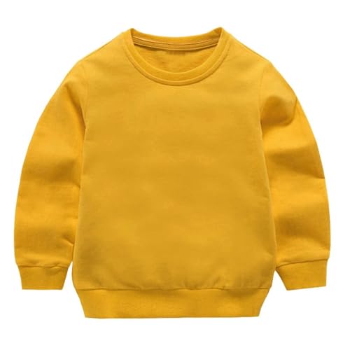 Girls Boys Sweatshirts Kids Youth Hoodies Casual Long Sleeve Cute Tops Pullover 2025 Fashion Athletic Preppy Clothes